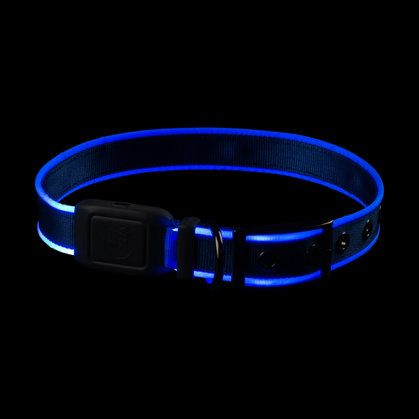NiteDog Rechargeable LED Dog Collar