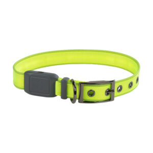 NiteDog Rechargeable LED Dog Collar