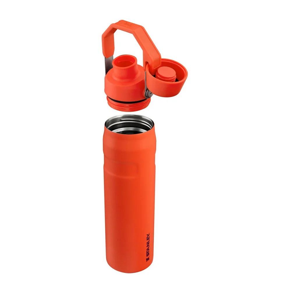 10-12515-003 The Aerolight™ IceFlow™ Water Bottle Fast Flow 0.6L / 20oz Tigerlilly