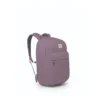 10005636 Osprey Arcane XL Day Purple Dusk Heather O/S