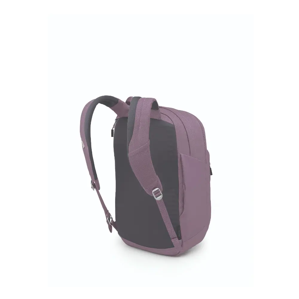 10005636 Osprey Arcane XL Day Purple Dusk Heather O/S