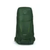 10004757 Osprey Kestrel 58 Bonsai Green L/XL