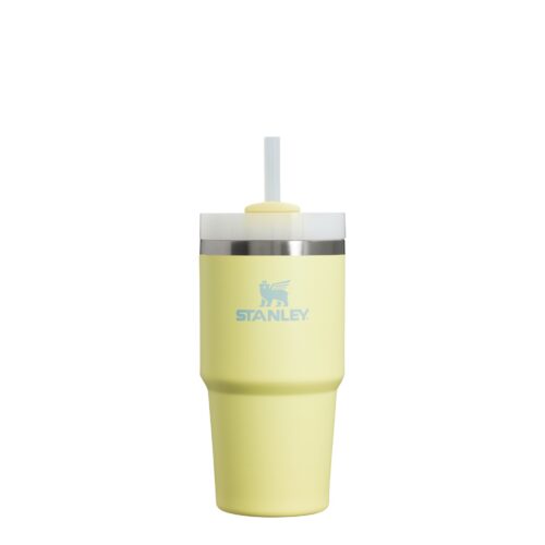Stanley Quencher H2.0 FlowState™ Tumbler | 0.6L